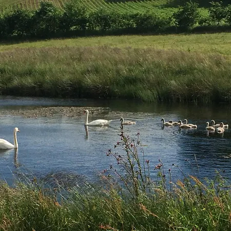 Farm stay Smidstrupvej 3 - The Gadbjerg