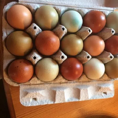 Smidstrupvej 3 - The * Gadbjerg