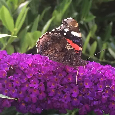 Smidstrupvej 3 - The Farm stay *