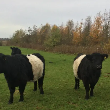 Smidstrupvej 3 - The Gadbjerg