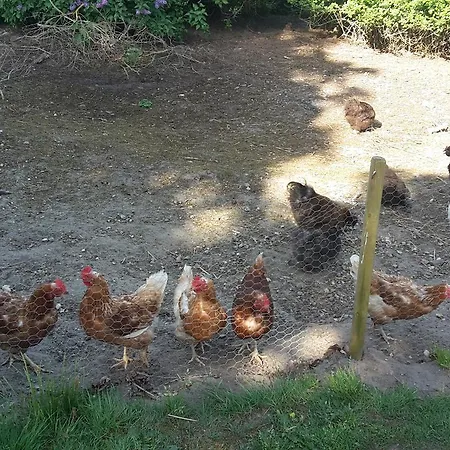 Smidstrupvej 3 - The Gospodarstwo agroturystyczne